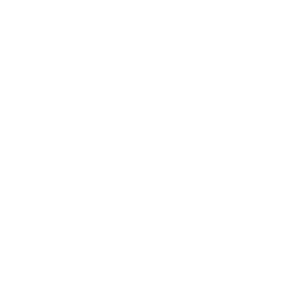 Logo Blanc - Ultra Petita